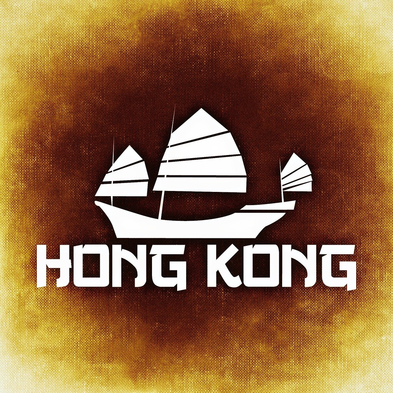 看香港精准资料免费公开,探究科学的多重功能与其在多领域的作用
