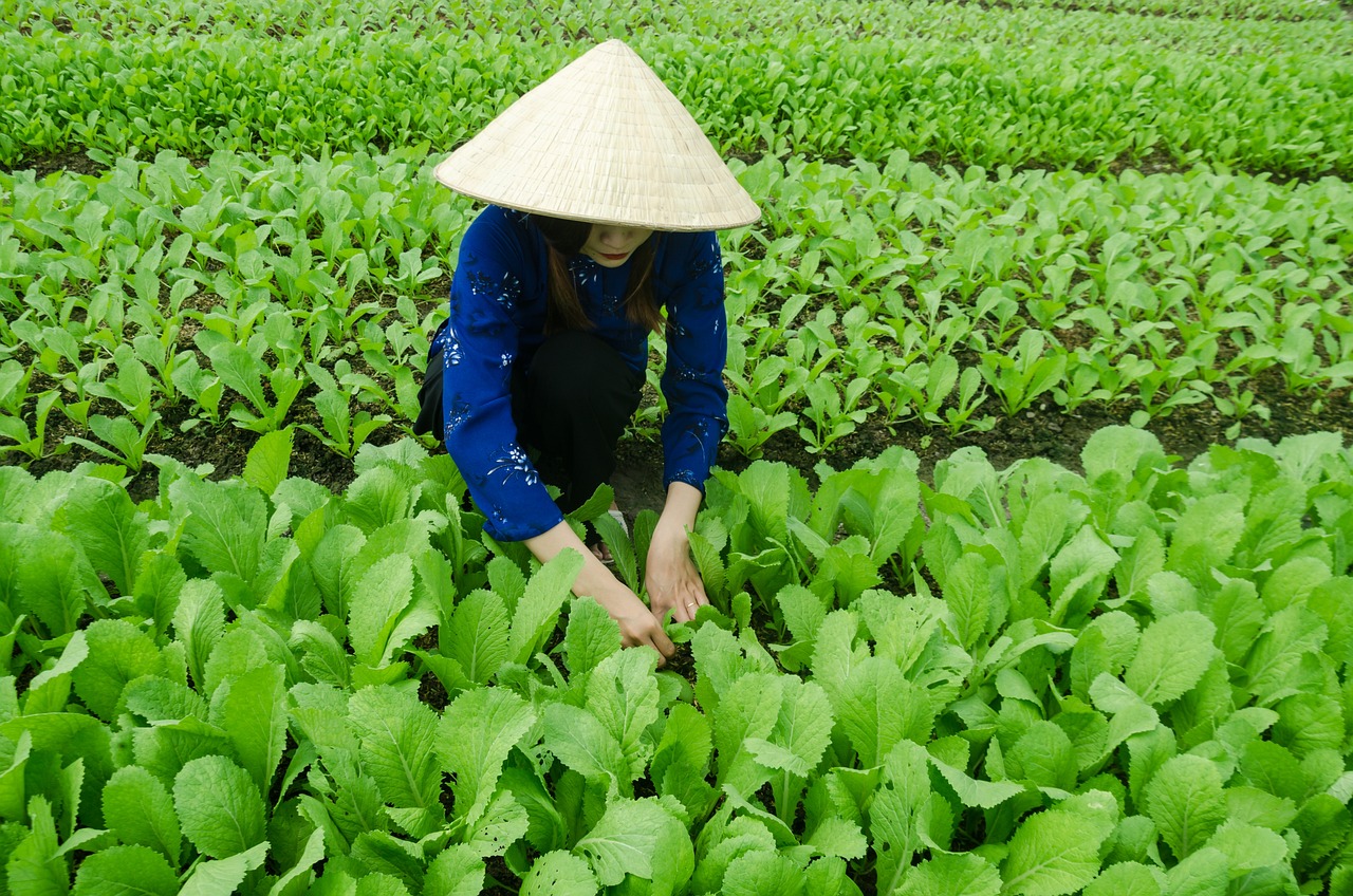 双排键最新动态，发展趋势与影响分析